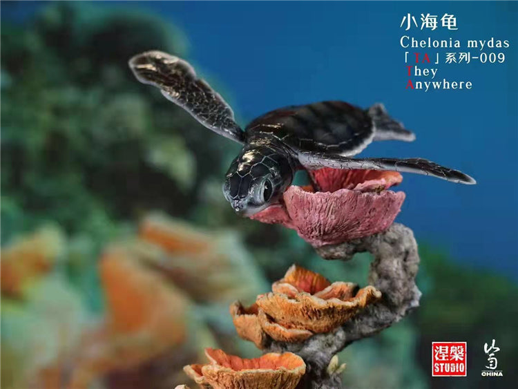 Chelonia Mydas Scene Model