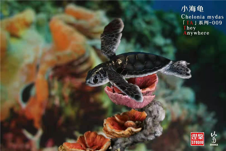 Chelonia Mydas Scene Model