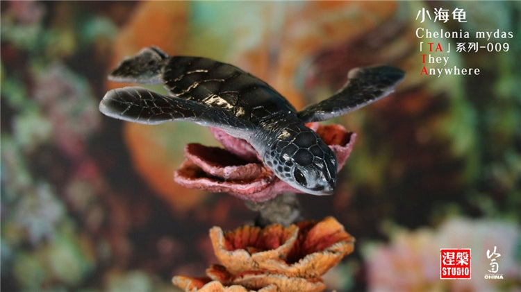 Chelonia Mydas Scene Model