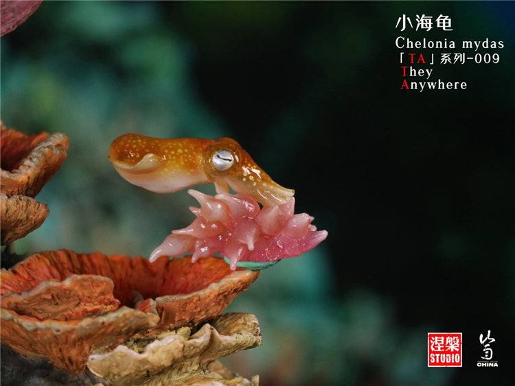 Chelonia Mydas Scene Model