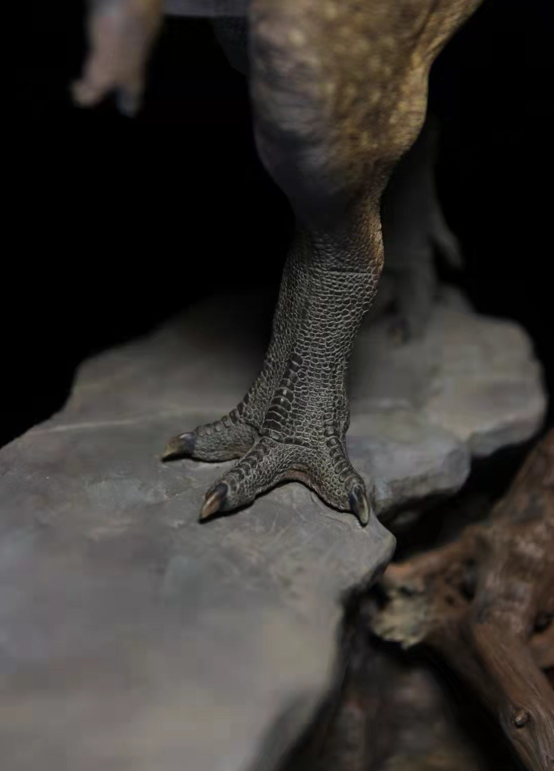 Sensen 1/20 Gorgosaurus Scene Statue