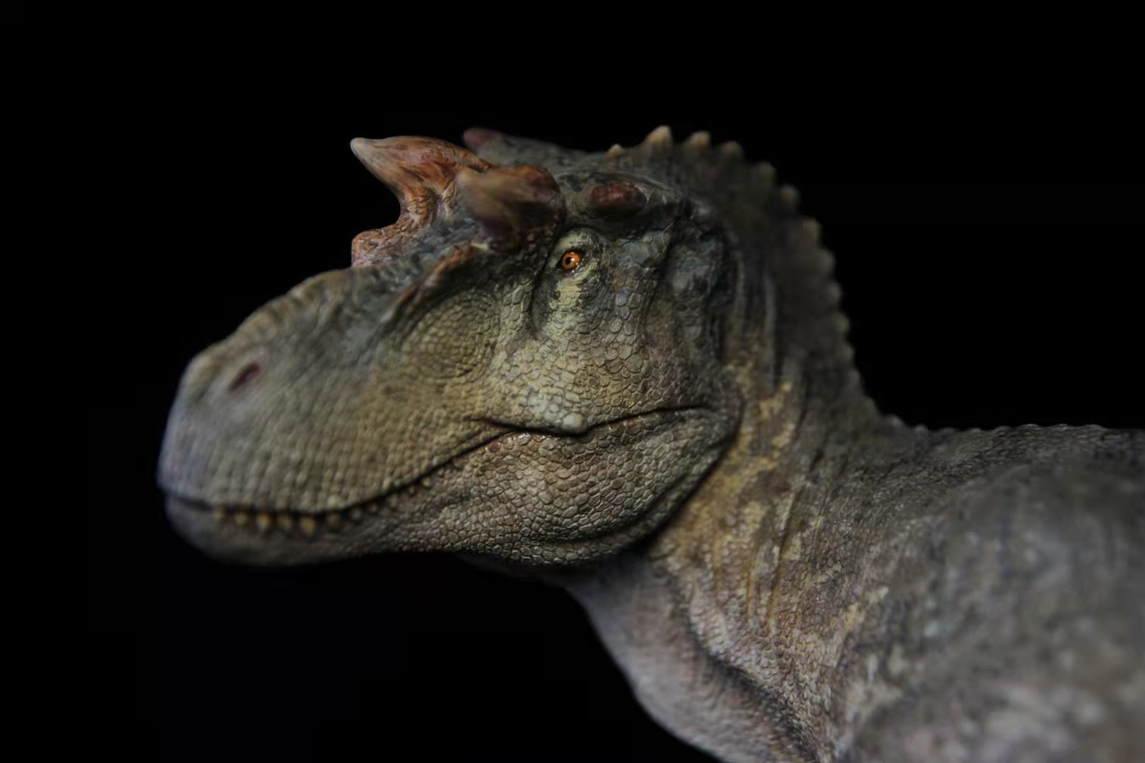 Sensen 1/20 Gorgosaurus Scene Statue