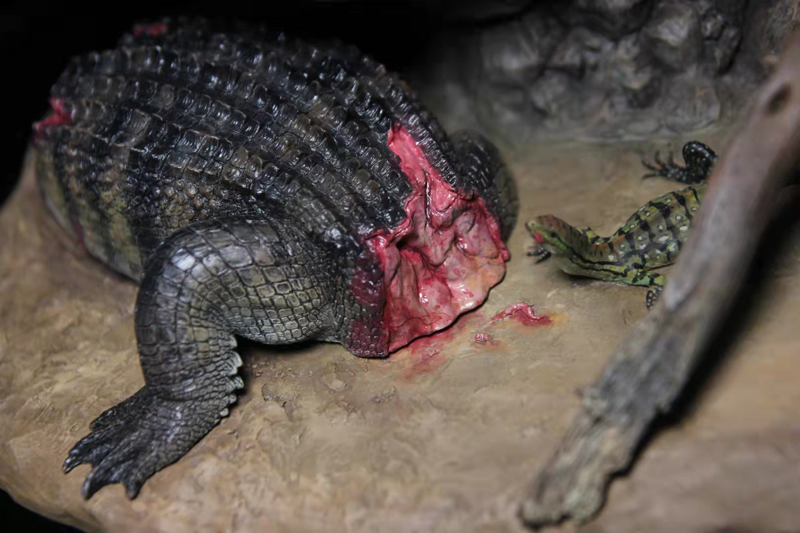 Sensen 1/20 Gorgosaurus Scene Statue