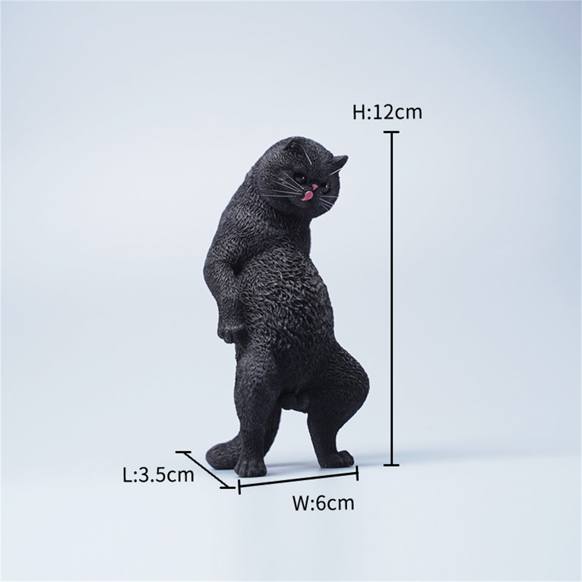 JXK 1/6 ExoticShorthair Model
