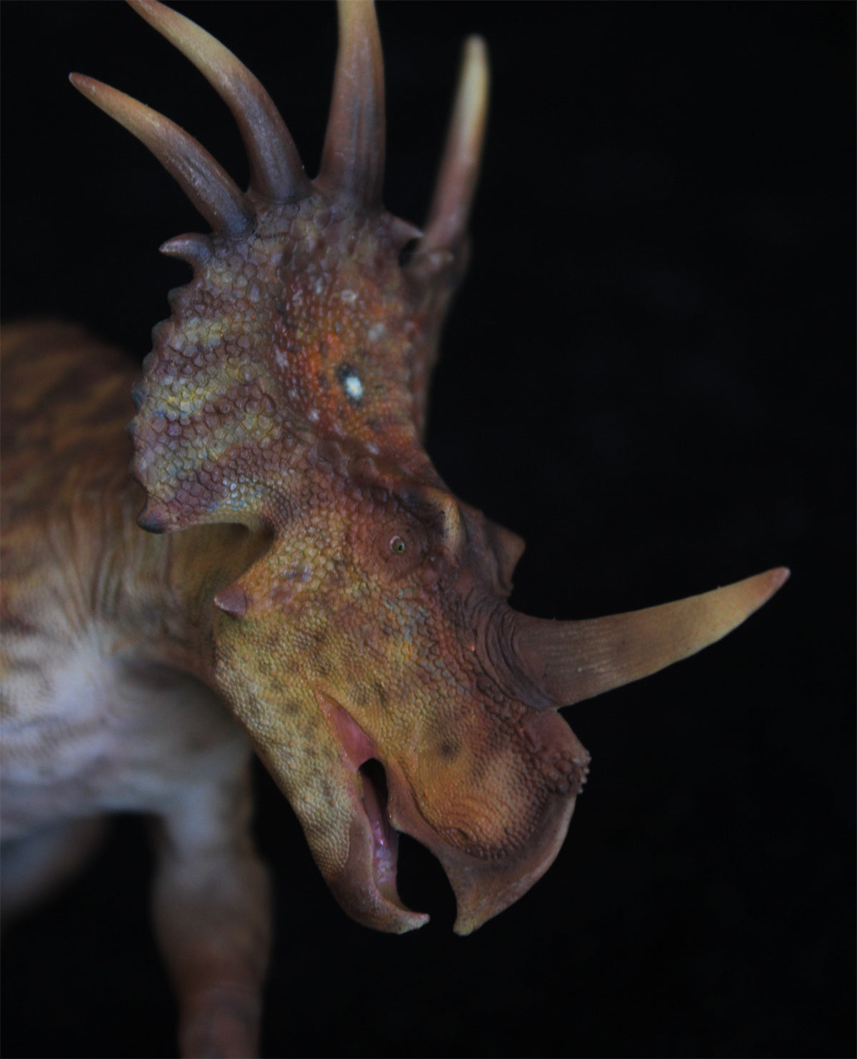 Yuangu Styracosaurus Model