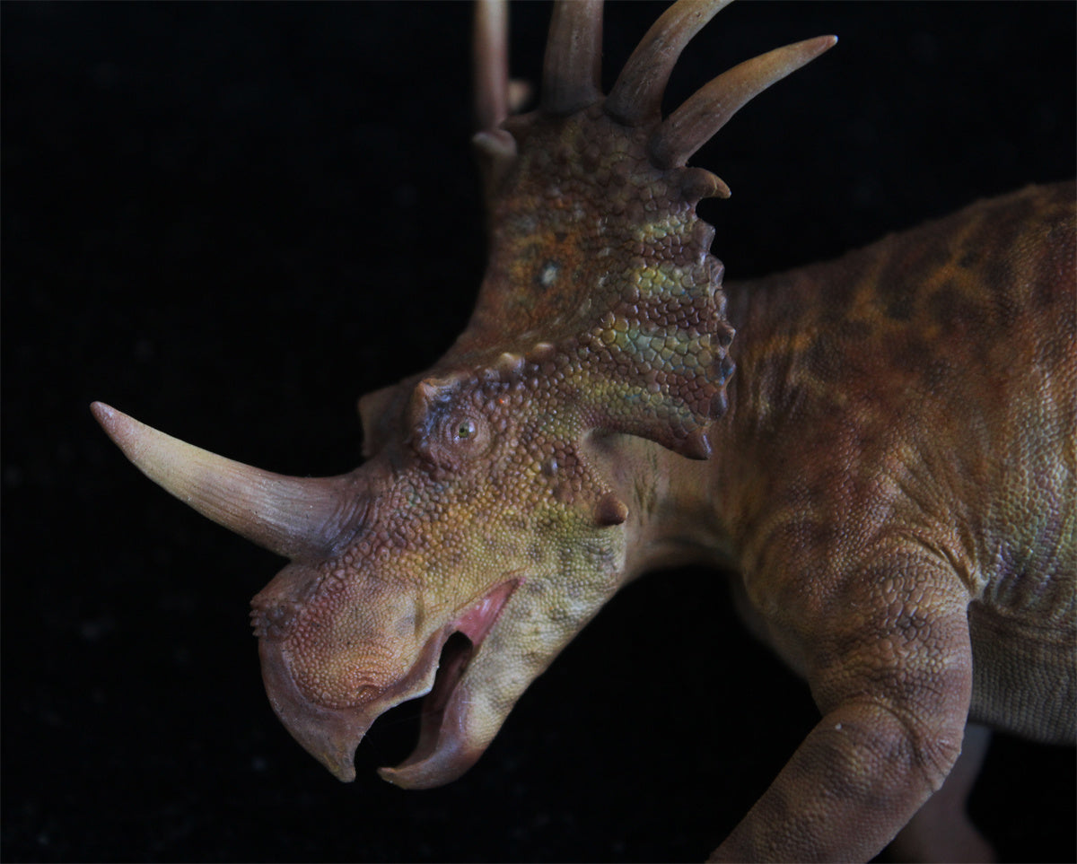 Yuangu Styracosaurus Model