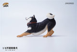 JXK 1/6th Don't Go Home Shiba Inu Model