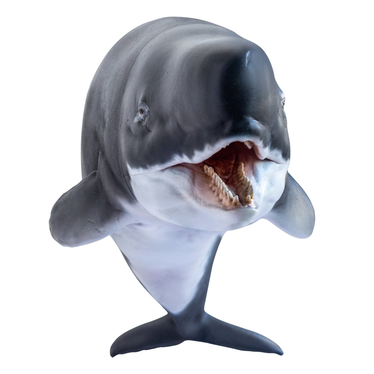 PNSO Livyatan Requena Model