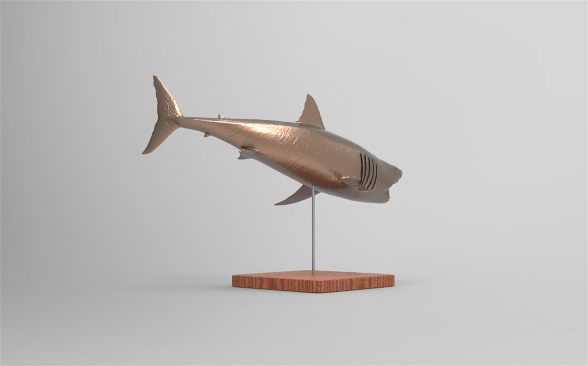 Rheic 1/35 Great White Shark Model