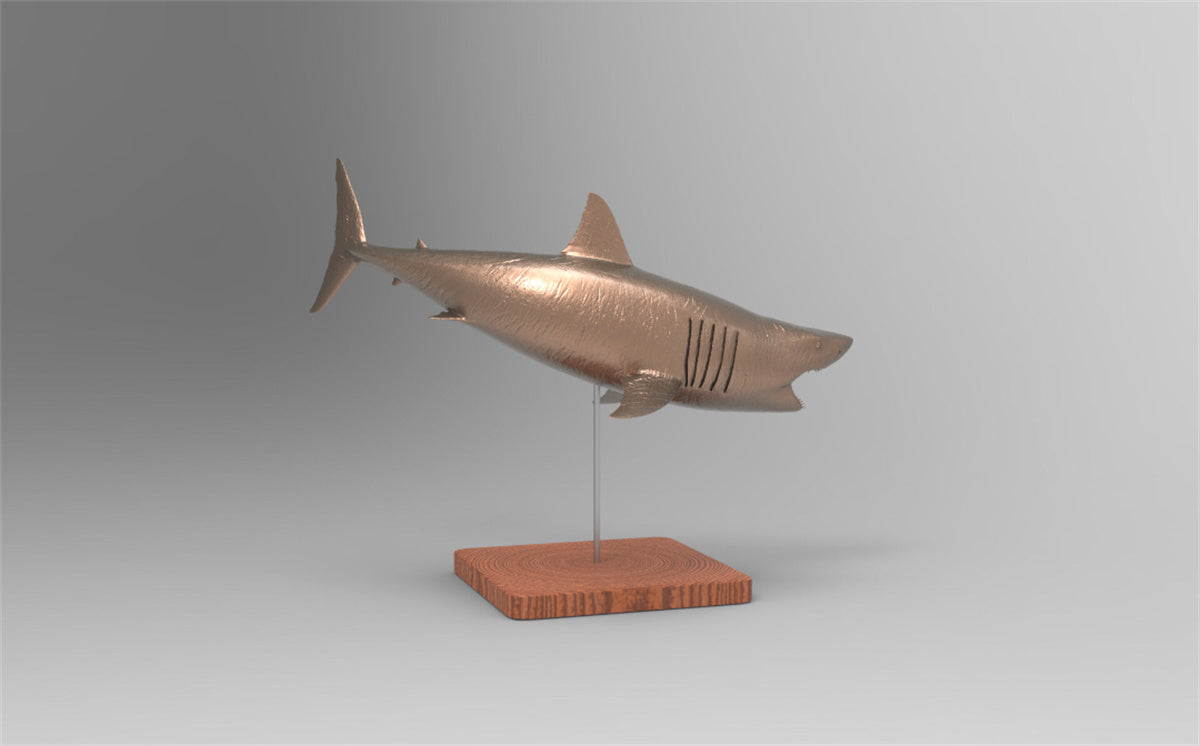 Rheic 1/35 Great White Shark Model