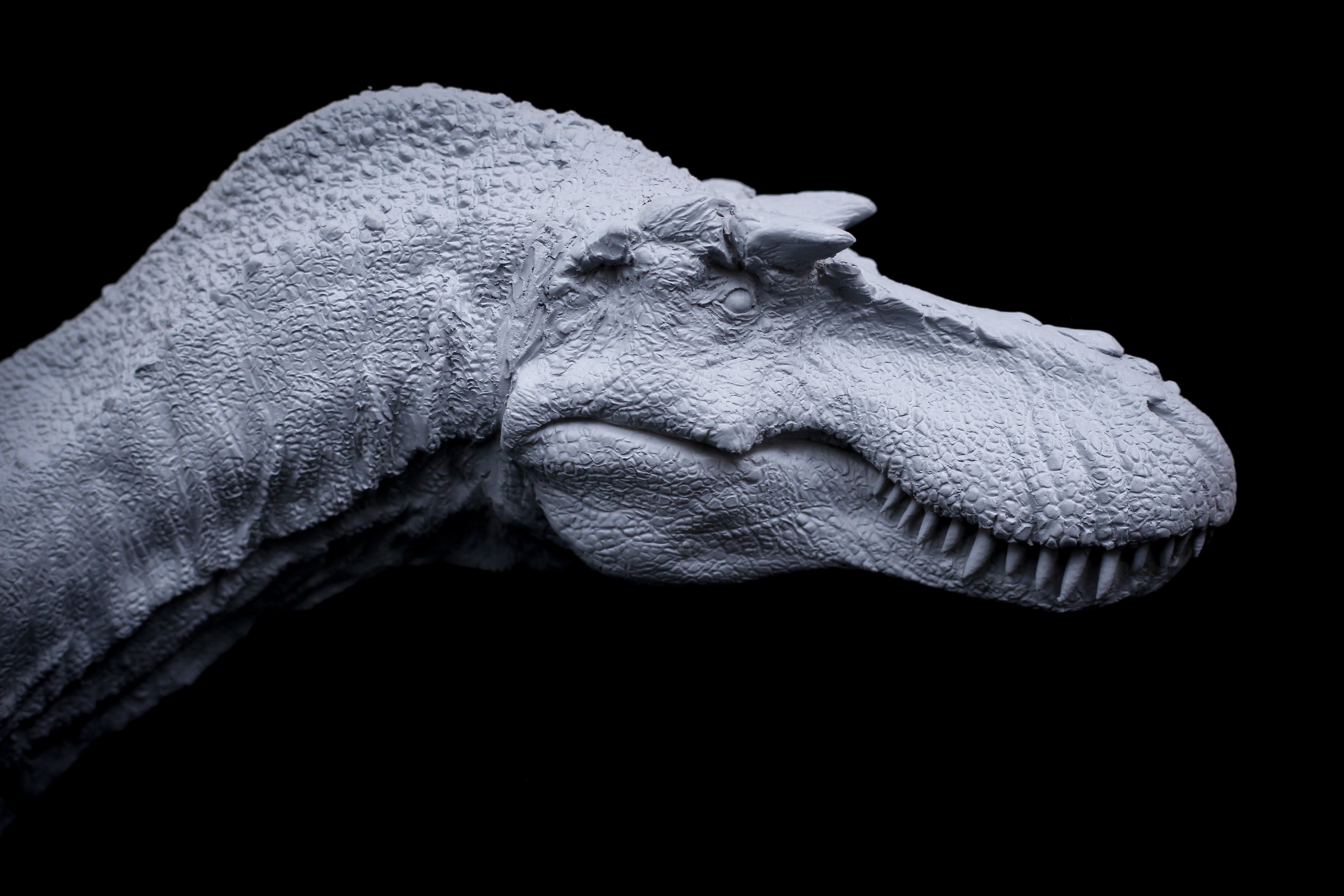 DM 1/20 Gorgosaurus Scene Unpainted Kit