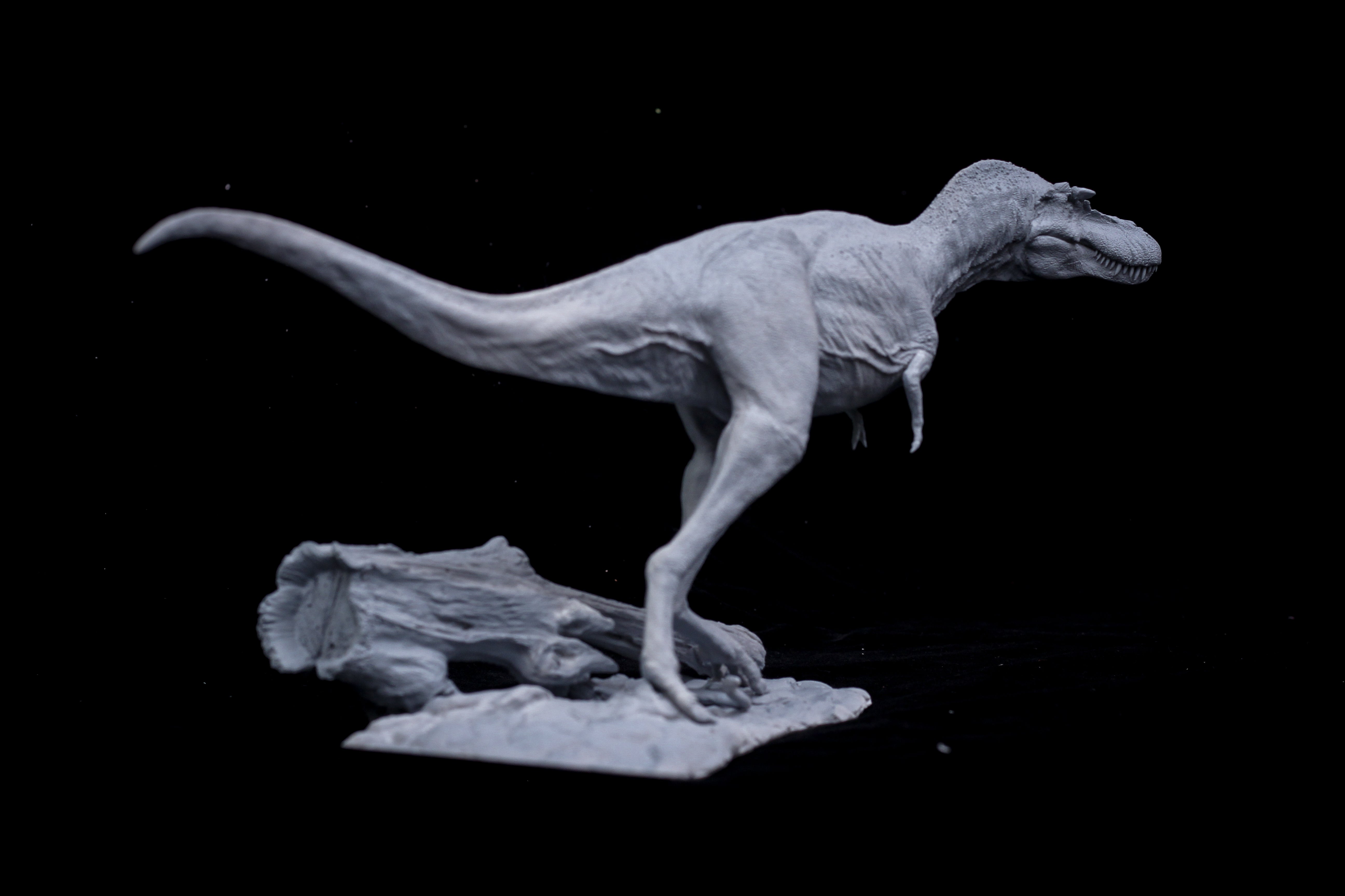 DM 1/20 Gorgosaurus Scene Unpainted Kit