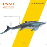 PNSO Himalayasaurus Tucson Model
