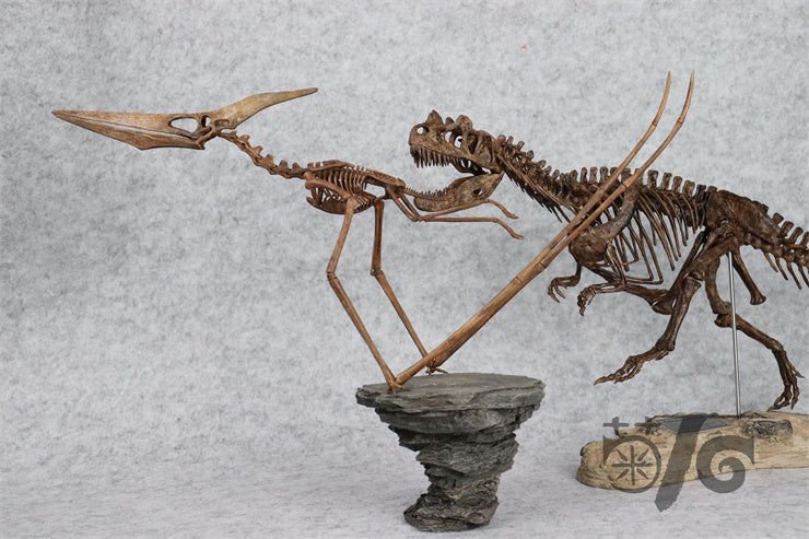 1/10 Flying Pteranodon Skeleton Model