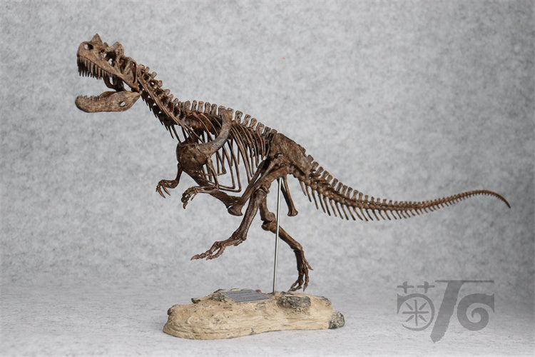 1/10 Ceratosaurus Skeleton Model