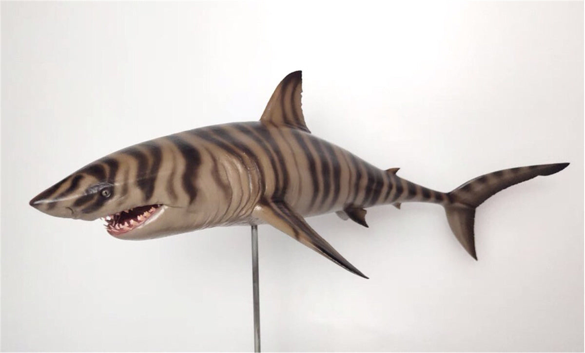 Rheic 1/35 Cretoxyrhina Model