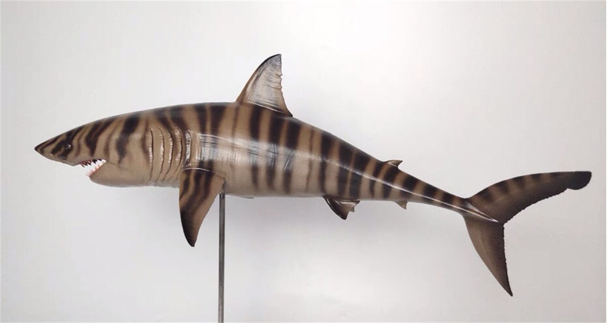 Rheic 1/35 Cretoxyrhina Model