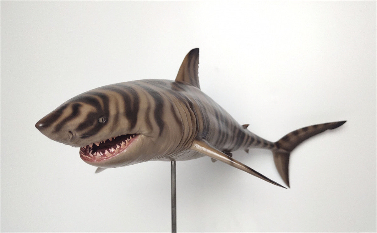 Rheic 1/35 Cretoxyrhina Model