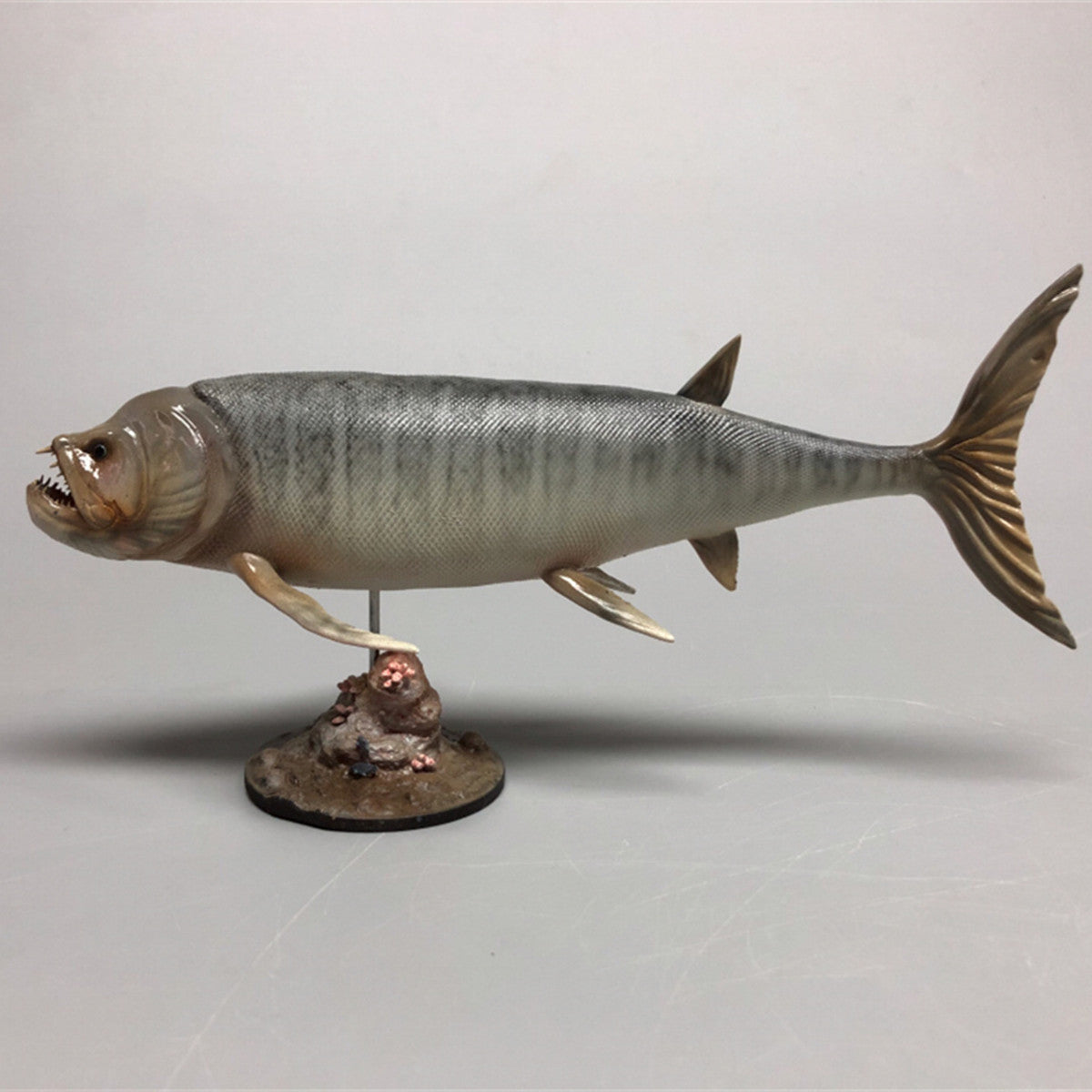 Rheic 1/35 Xiphactinus Model