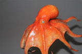 Rheic Giant Pacific Octopus Model