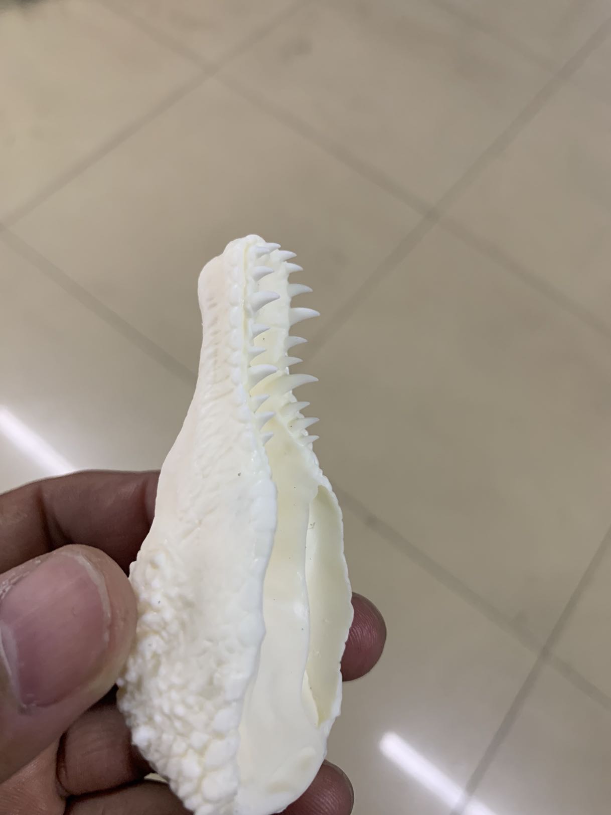 PASSION CHARGER 1/20 Mapusaurus Statue Unpainted Kit