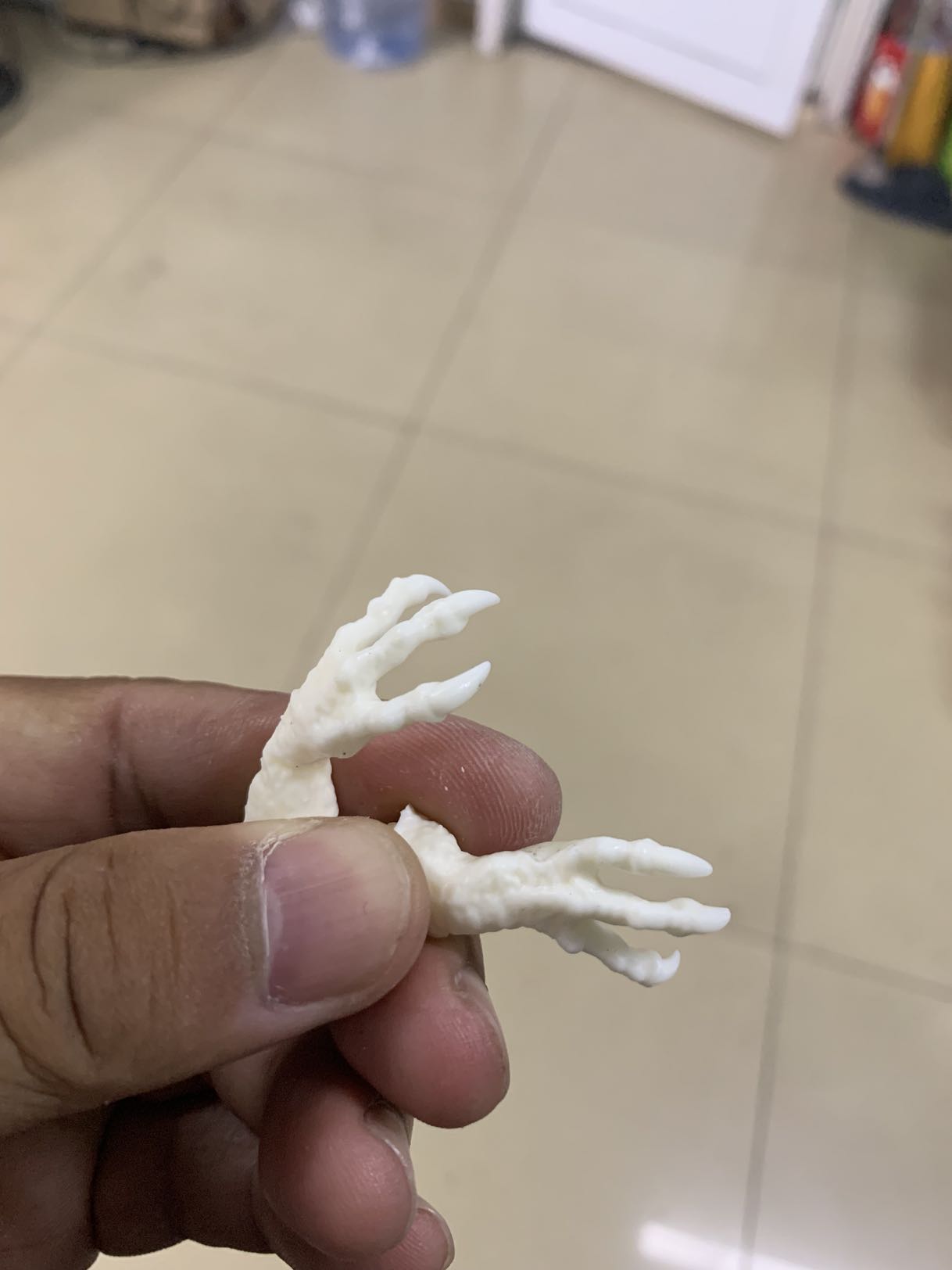 PASSION CHARGER 1/20 Mapusaurus Statue Unpainted Kit