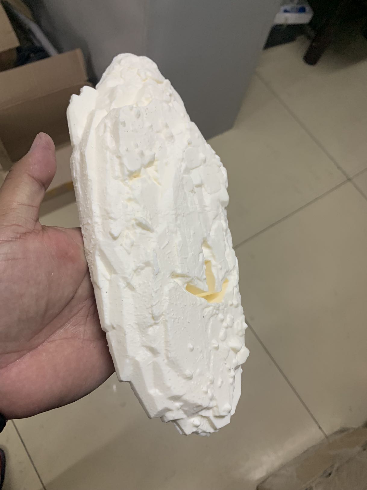 PASSION CHARGER 1/20 Mapusaurus Statue Unpainted Kit