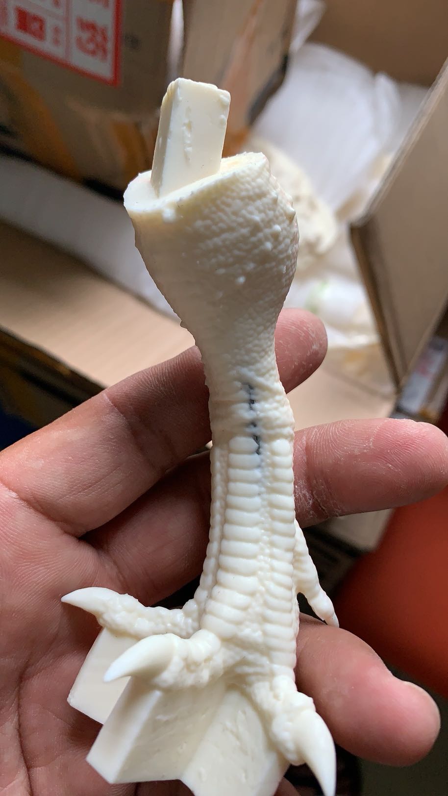 PASSION CHARGER 1/20 Mapusaurus Statue Unpainted Kit