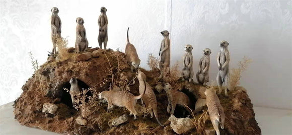 African Elf Meerkat Model