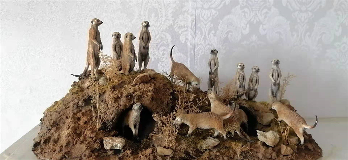 African Elf Meerkat Model