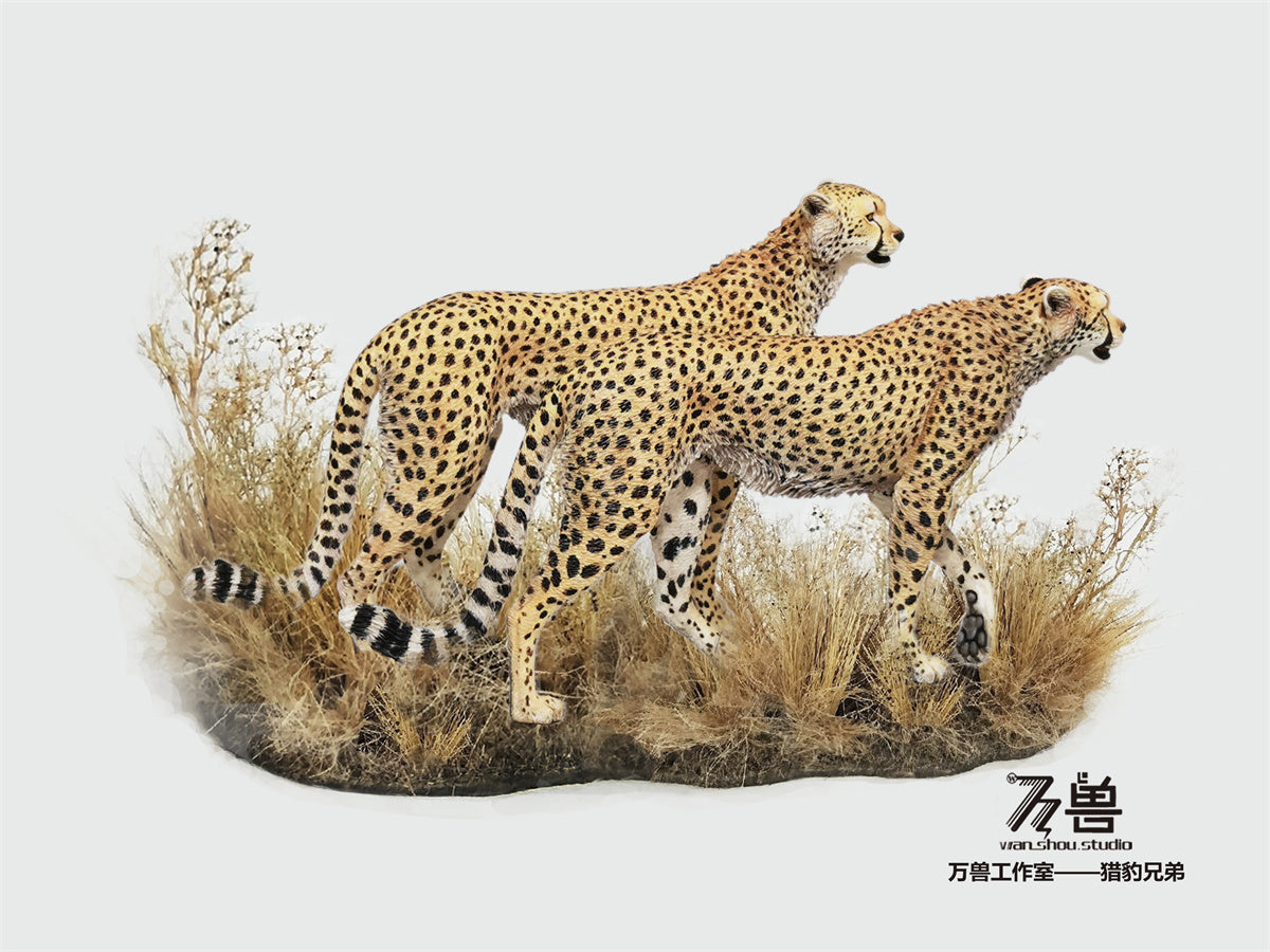WS Cheetah 2.0 Model – Lana Time Shop