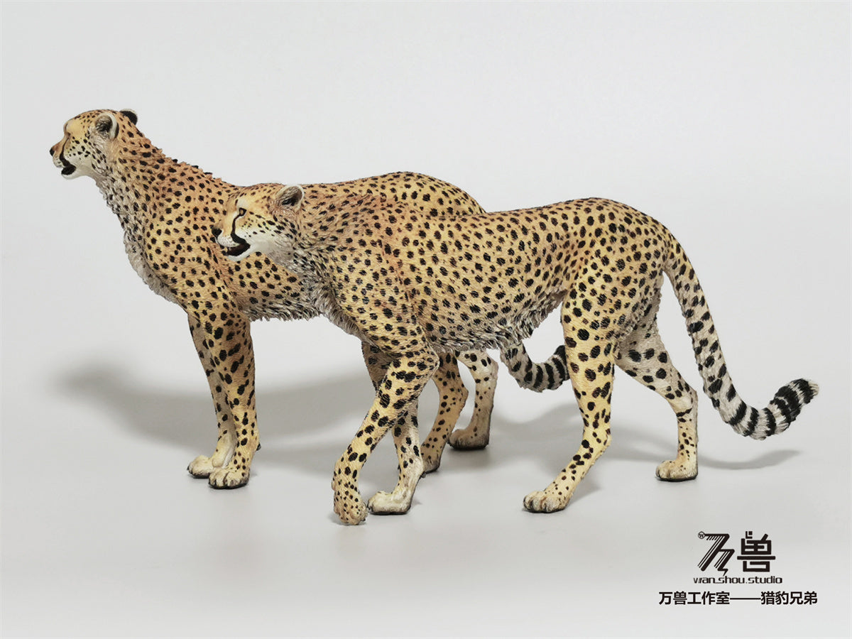 WS Cheetah 2.0 Model – Lana Time Shop