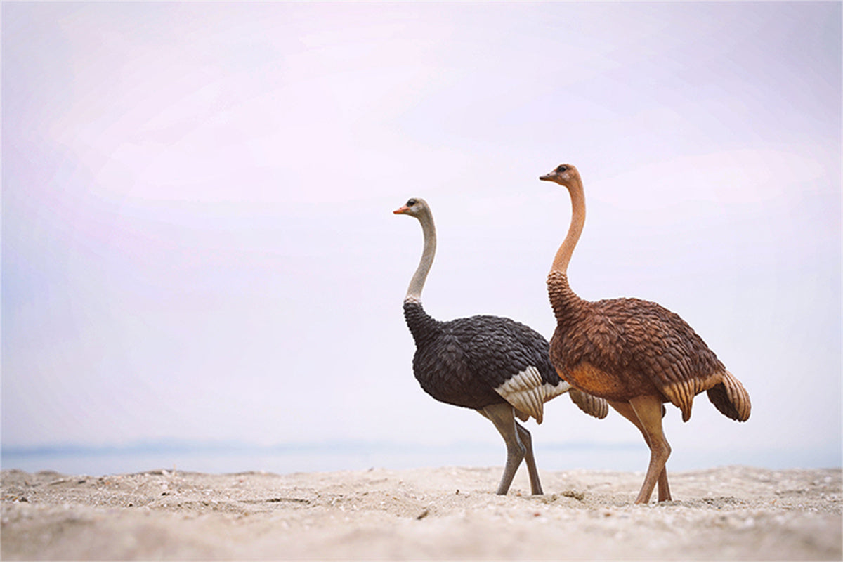 JXK 1/6 Ostrich Model