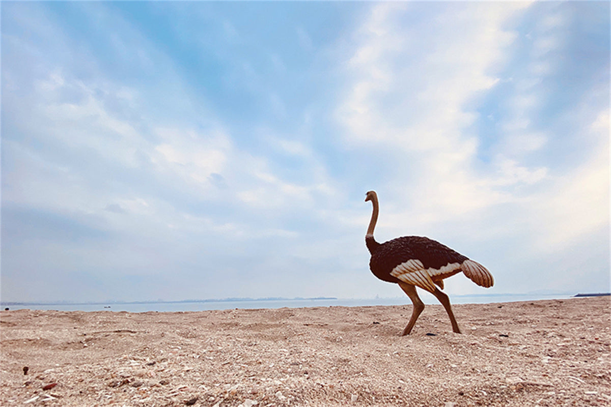 JXK 1/6 Ostrich Model