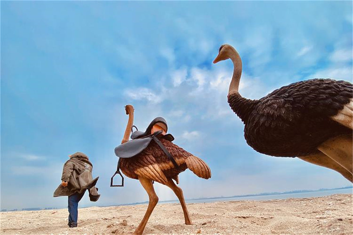 JXK 1/6 Ostrich Model