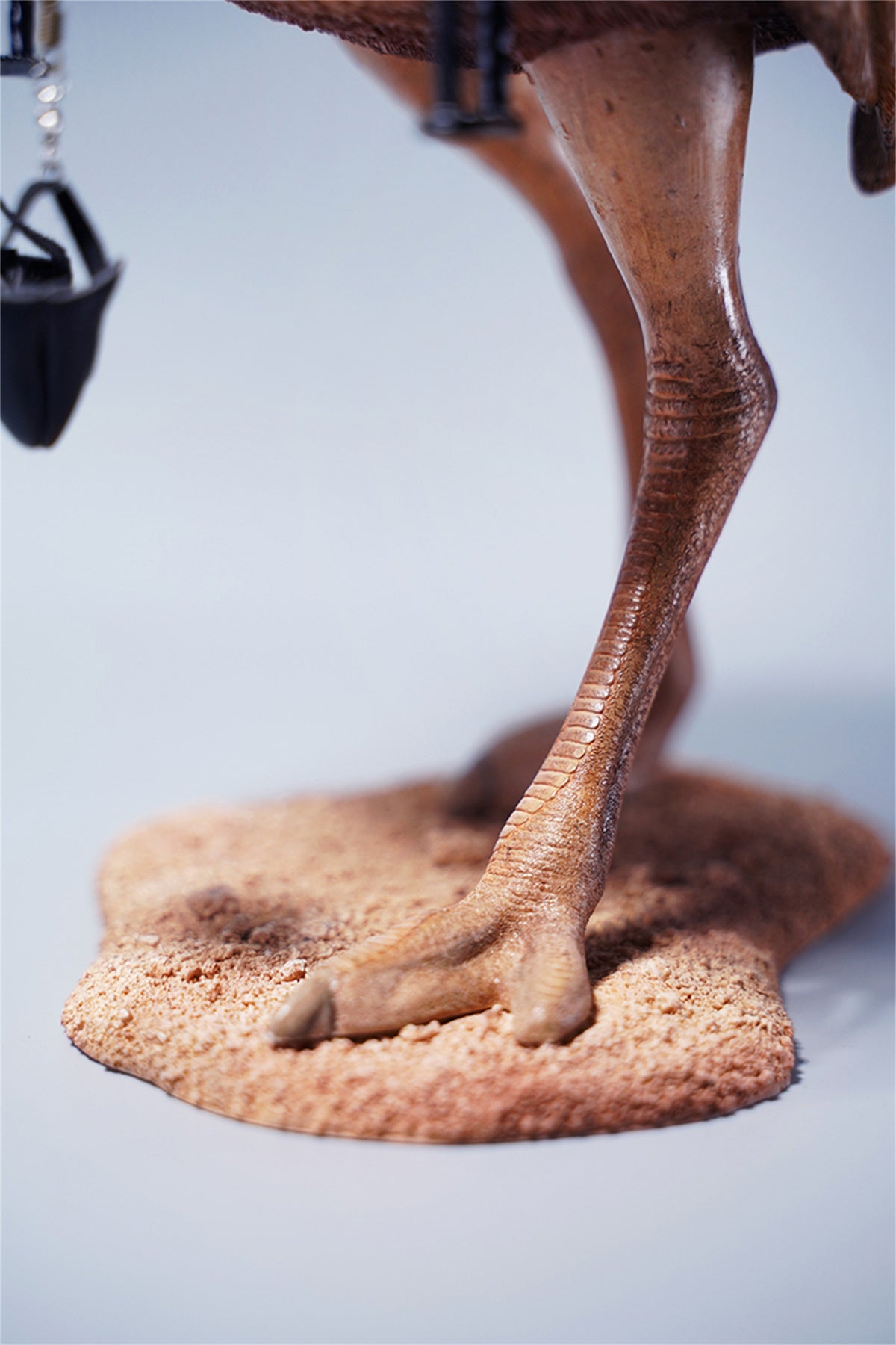 JXK 1/6 Ostrich Model