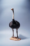JXK 1/6 Ostrich Model