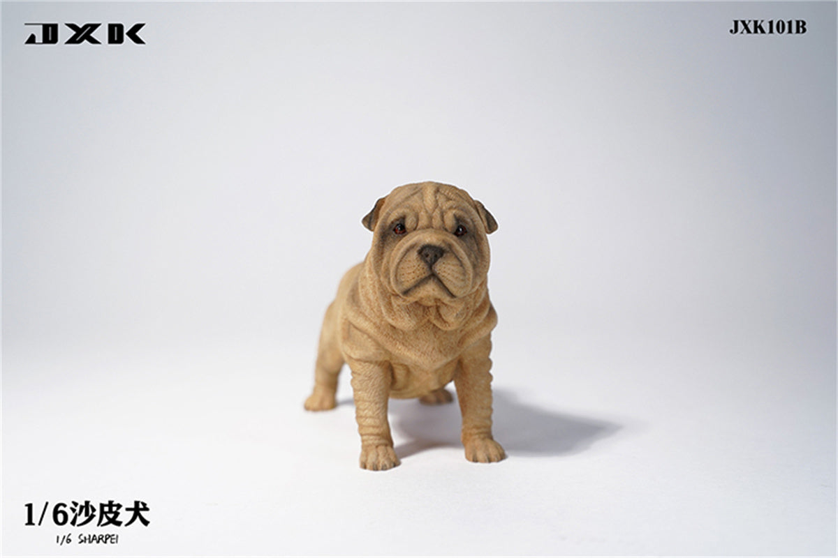 JXK 1/6 Sharpei Dog Model