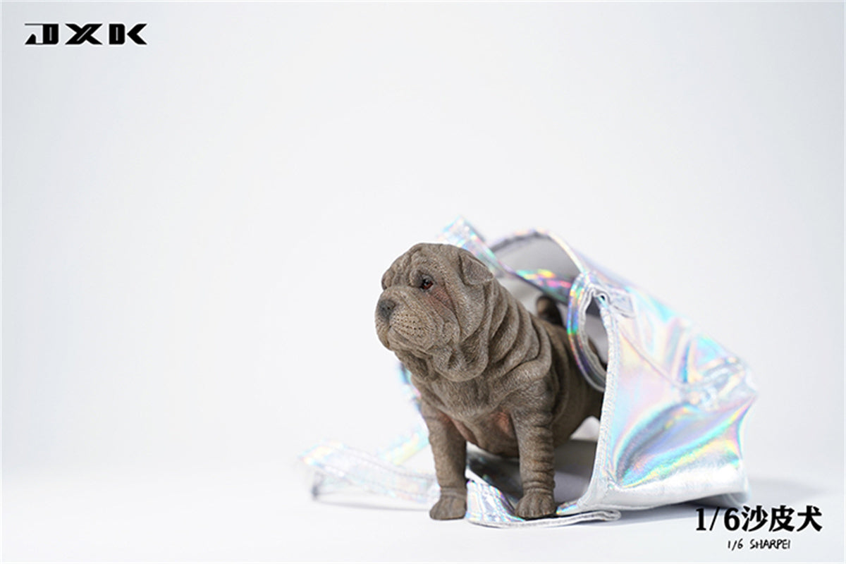 JXK 1/6 Sharpei Dog Model