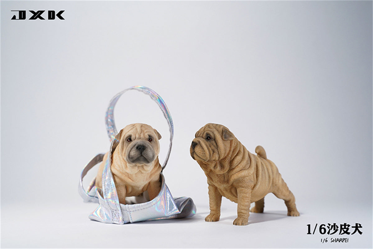 JXK 1/6 Sharpei Dog Model