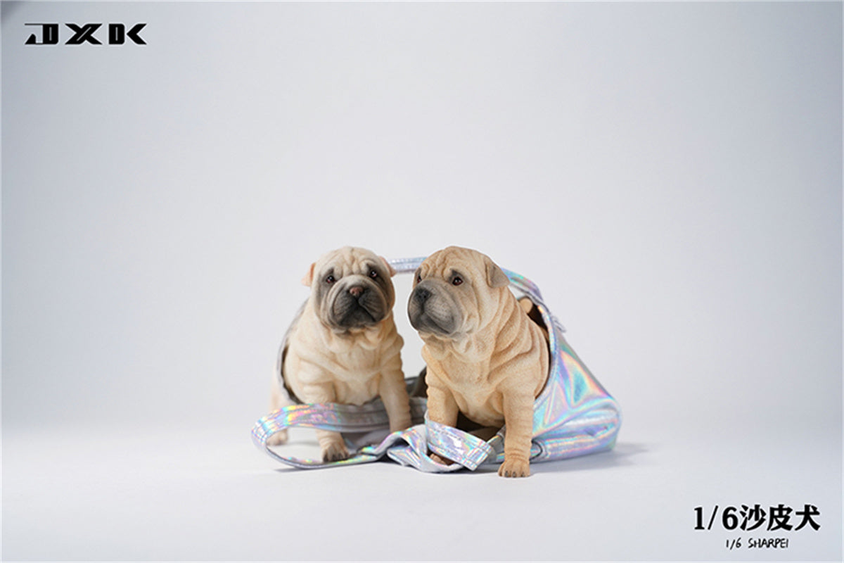 JXK 1/6 Sharpei Dog Model