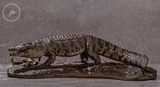 JA Studio Crocodylus niloticus Gustave Model