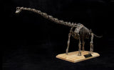 1:35 Scale Giraffatitan Skeleton Model