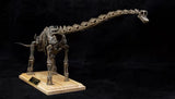 1:35 Scale Giraffatitan Skeleton Model
