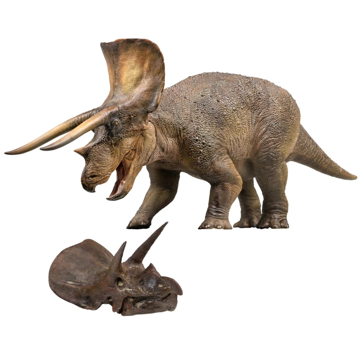PNSO 1/35 New Triceratops Doyle Model