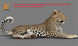 DAFEI African Leopard Statue