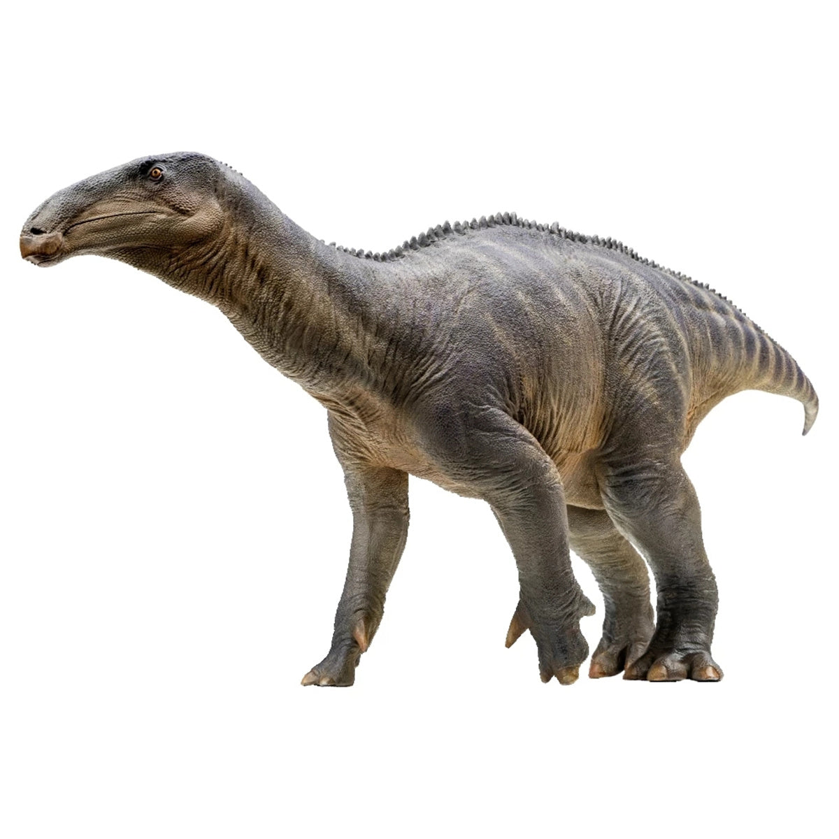PNSO 1/35 Iguanodon Harvey Model