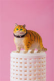 JXK 1/6 The Year Of The Tiger Fat Cat Model