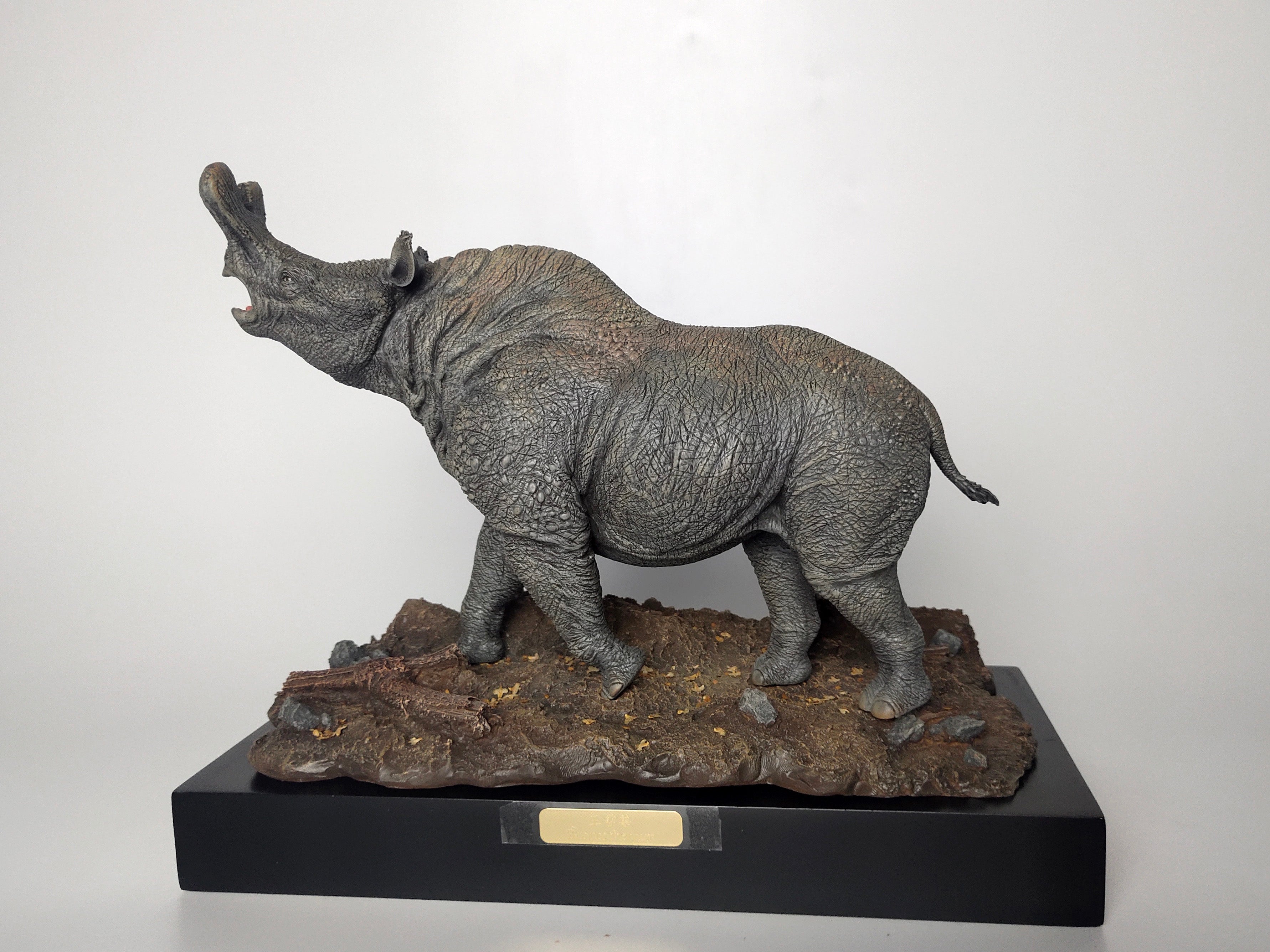 MuSee Brontotherium Titanotheriidae Palaeotherium GK Statue