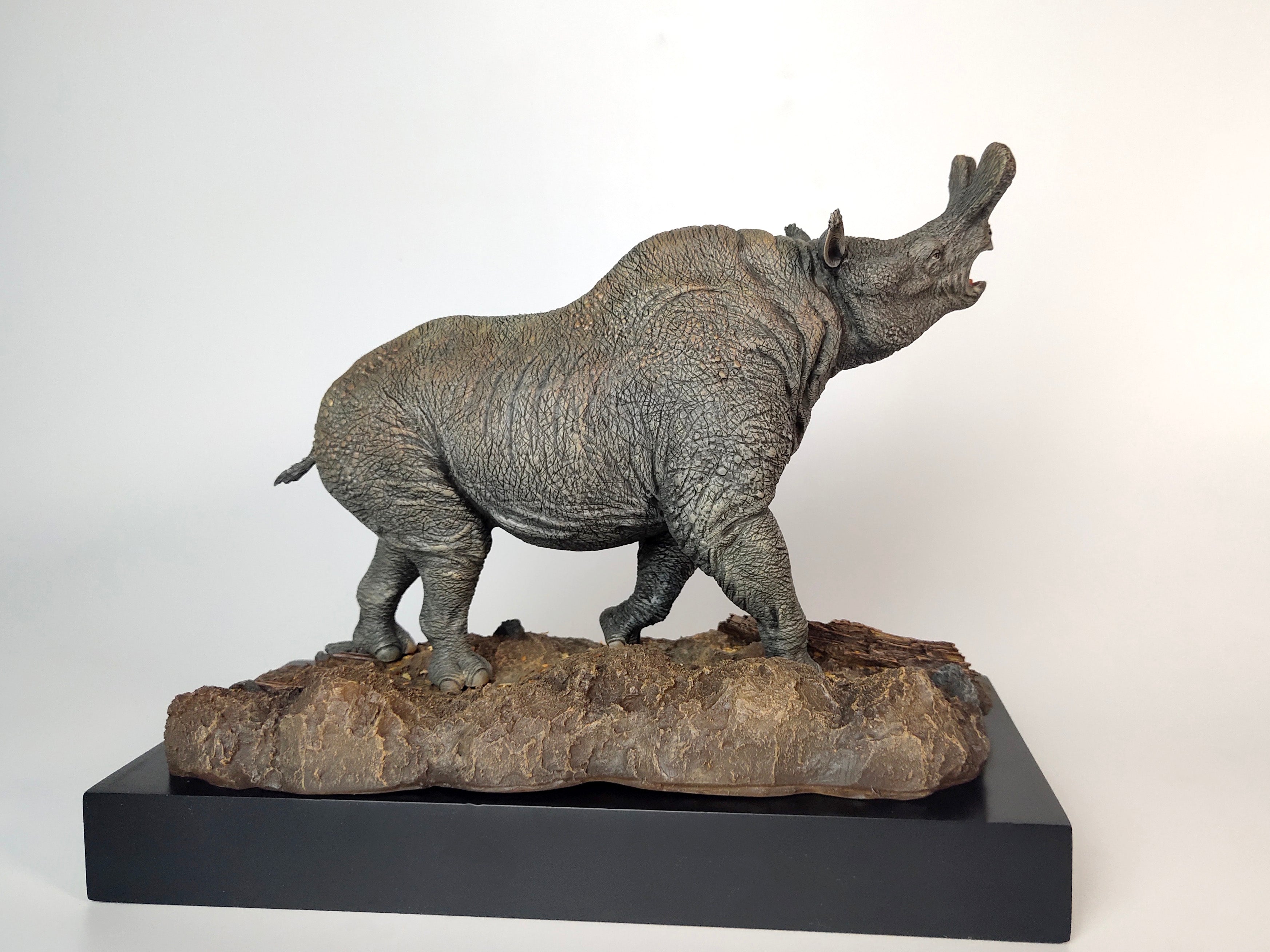 MuSee Brontotherium Titanotheriidae Palaeotherium GK Statue